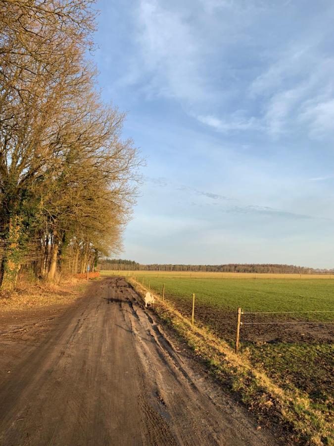 'T Holten Huus - Puur Genieten In Het Bos. Norg Extérieur photo