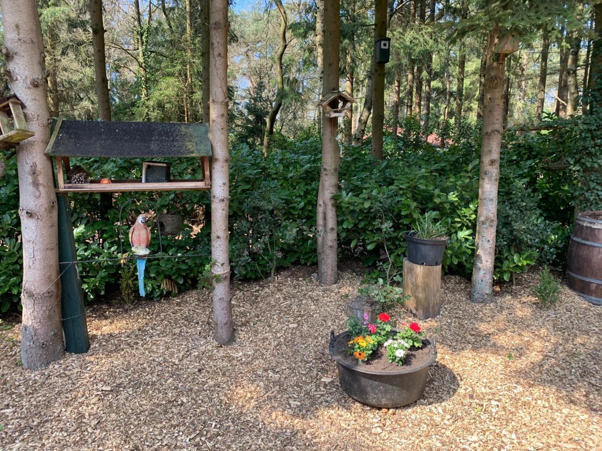 'T Holten Huus - Puur Genieten In Het Bos. Norg Extérieur photo