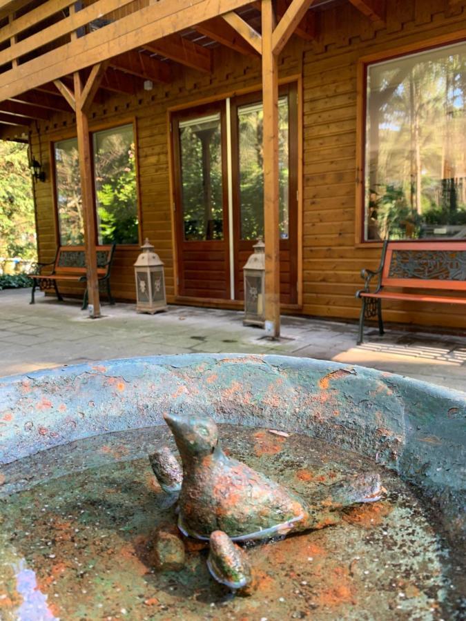 'T Holten Huus - Puur Genieten In Het Bos. Norg Extérieur photo