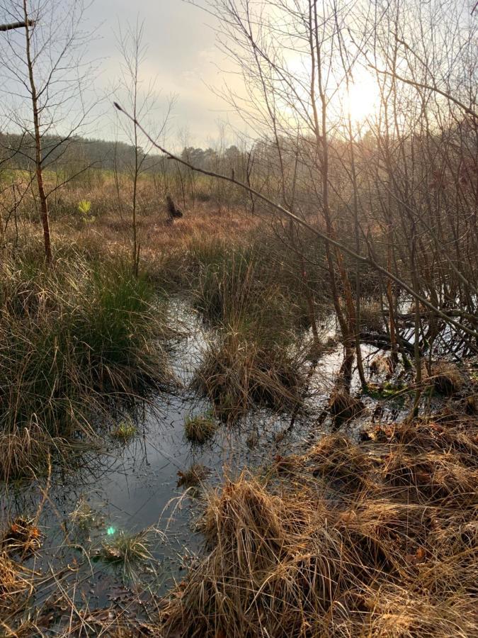 'T Holten Huus - Puur Genieten In Het Bos. Norg Extérieur photo